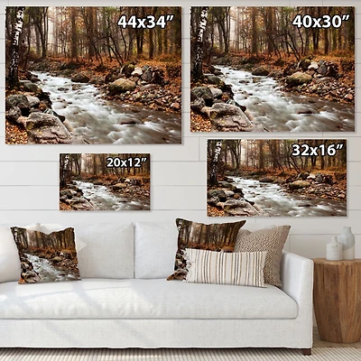 Stream Autumn Forest Canvas Print