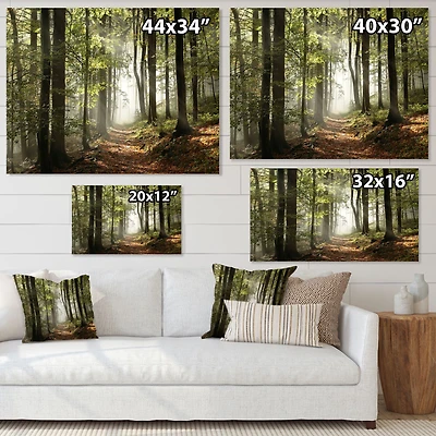 Green Fall Forest with Sun Rays Canvas Print