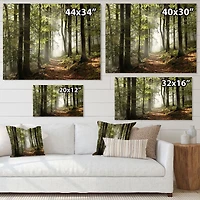 Green Fall Forest with Sun Rays  Canvas Print