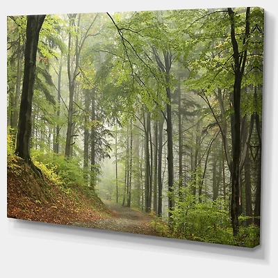 Toile « Green Beach Forest Pathway »