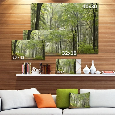Green Beach Forest Pathway  Wall Art