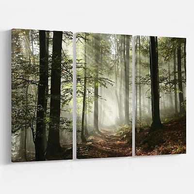 Light in Dense Fall Forest with Fog -3 Canvas Art Print