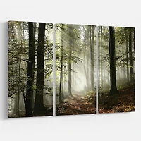 Toile imprimée 3 - « Light in Dense Fall Forest with Fog »