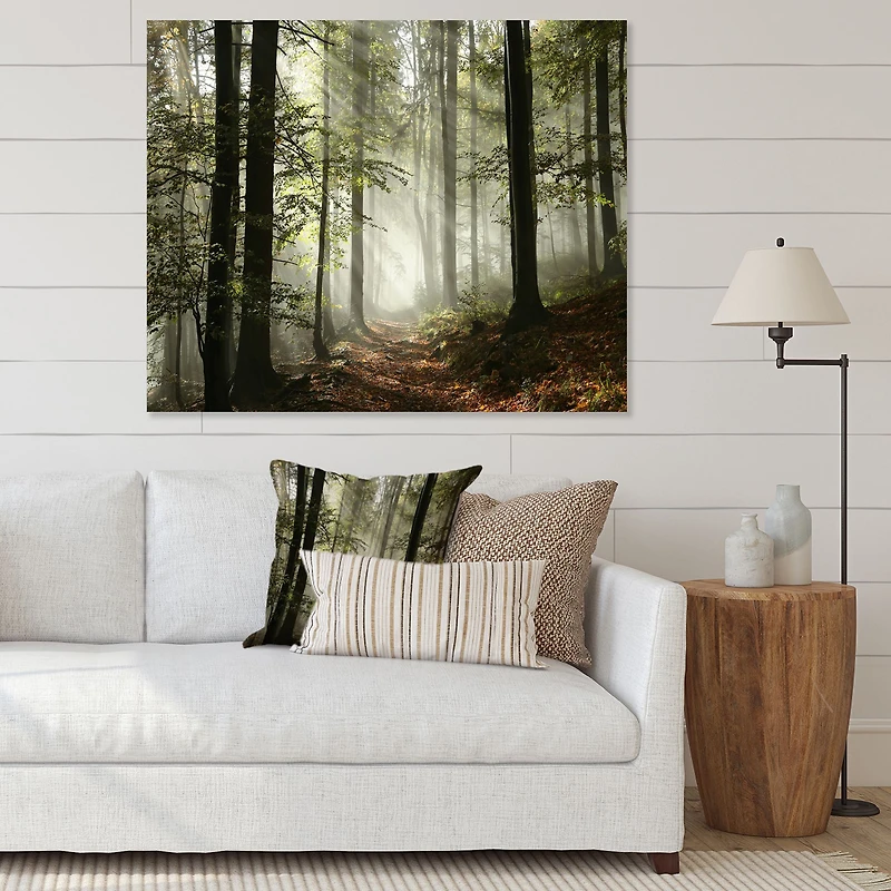 Toile imprimée « Light Dense Fall Forest with Fog »