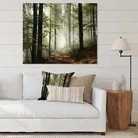 Toile imprimée « Light Dense Fall Forest with Fog »