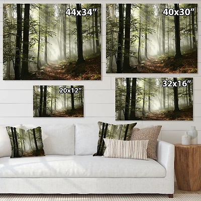 Toile imprimée « Light Dense Fall Forest with Fog »