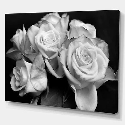 Bunch of Roses Black and White Canvas Art Print