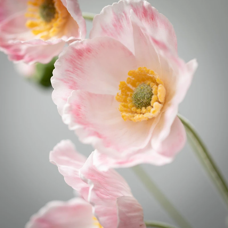 Poppy Stem 6x5x25 - Cream/Pink