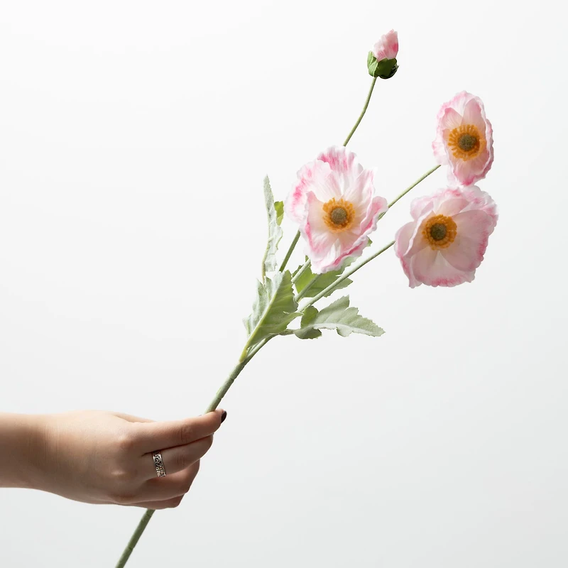 Poppy Stem 6x5x25 - Cream/Pink