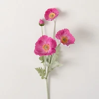Poppy Stem 6x5x25 - Pink