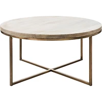 Liana Odd Shape Coffee Table