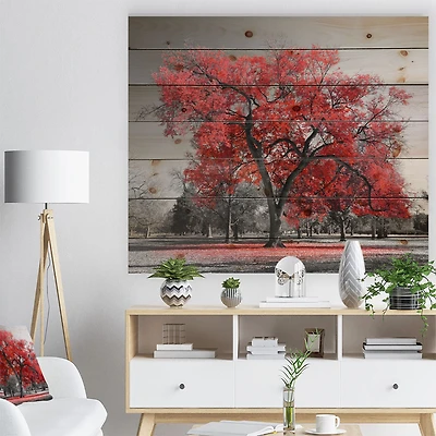 Big Red Tree on Foggy Day Wood Wall Art