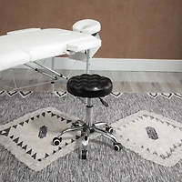 Adjustable Salon Stool