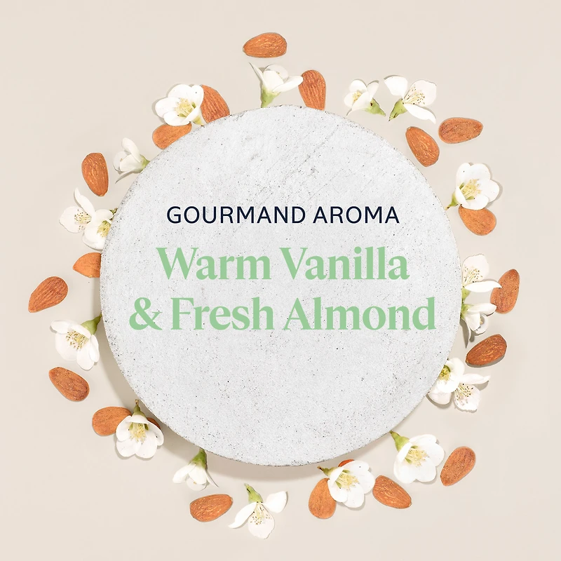 Almond Shower & Hand Duo