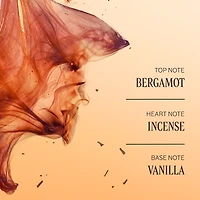 Cèdre Encens (Formerly Eau des Baux) Stick Deodorant Refill