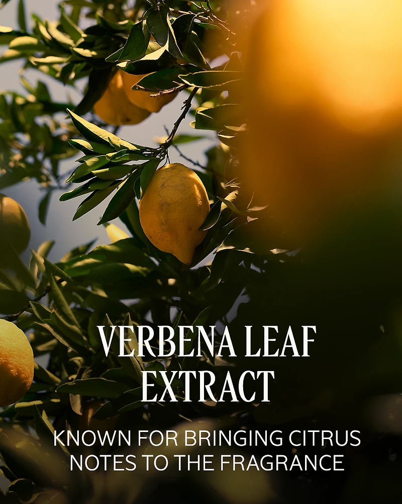 Verveine Agrumes (Citrus Verbena)  Perfumed Body Lotion