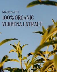 Verbena Invigorating Trio