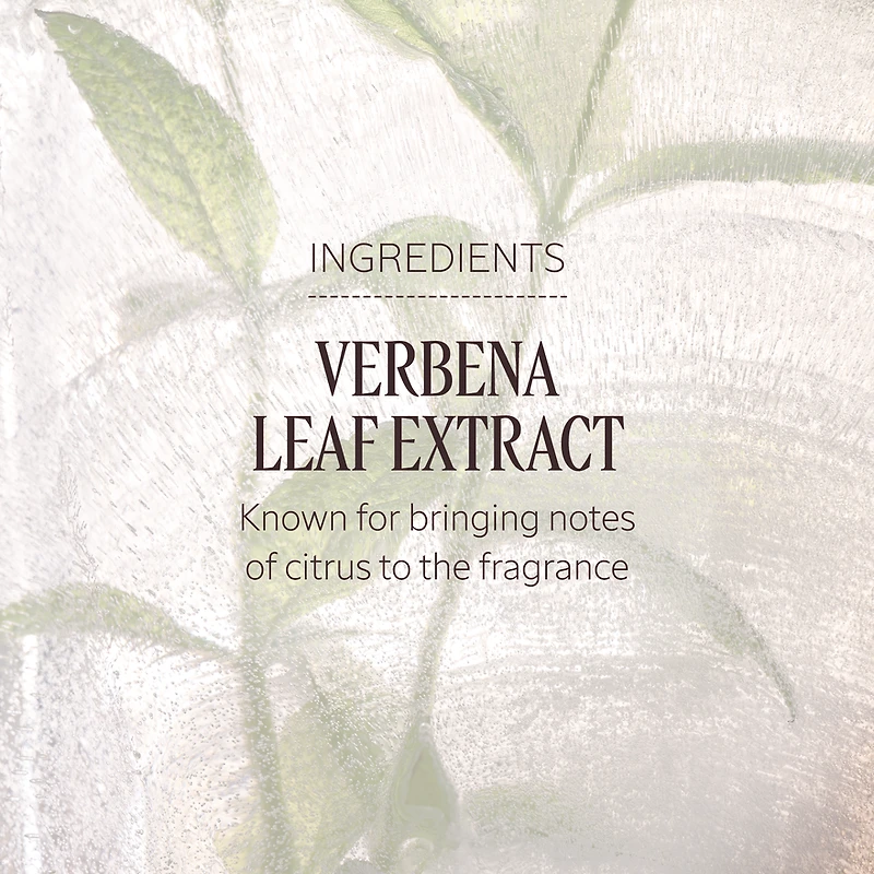 Verbena Cooling Hand Cream Gel