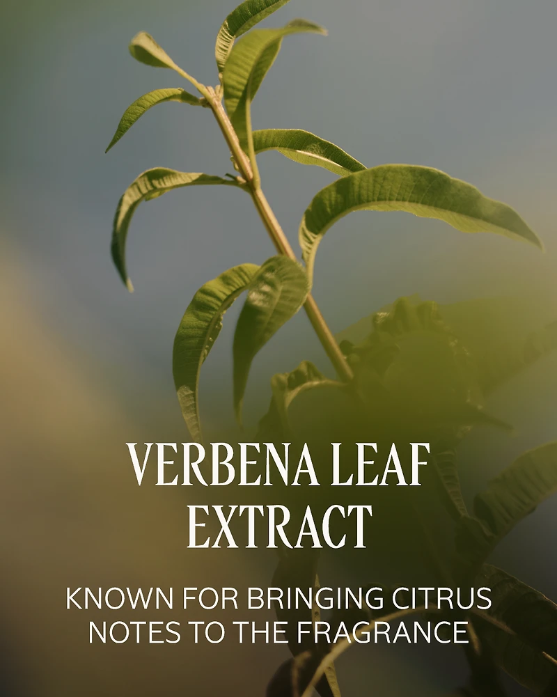 Verveine (Verbena) Perfumed Shower Gel