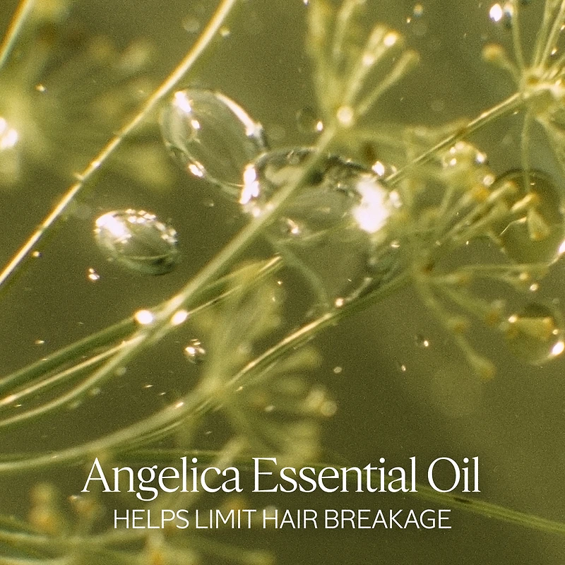 Intensive Repair Sublimating Oil