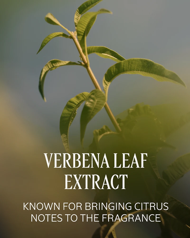 Verveine (Verbena) Body Deodorant Balm