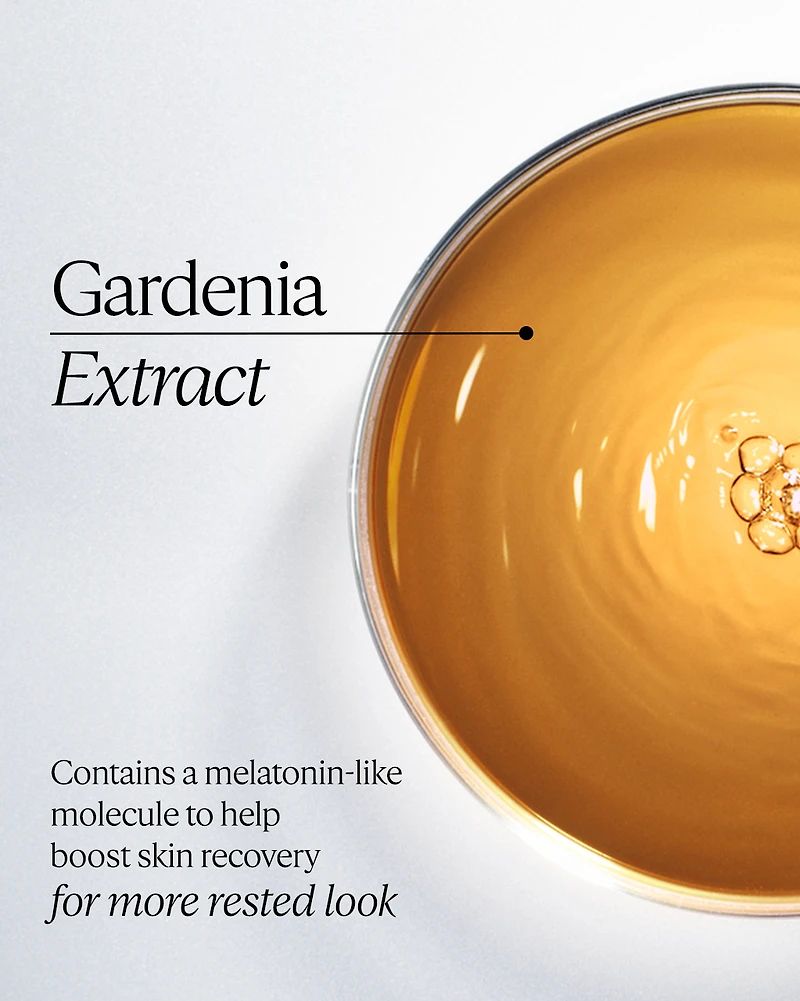 Immortelle Overnight Reset Oil-in-Serum