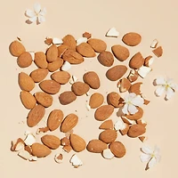 Almond Delightful Body Balm