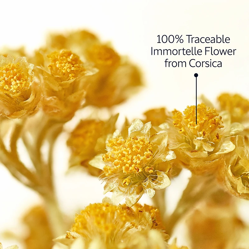 Immortelle Divine Cream