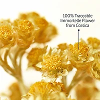 Immortelle Divine Cream