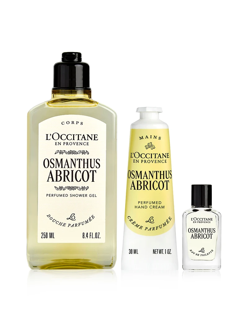 Osmanthus Abricot Trio