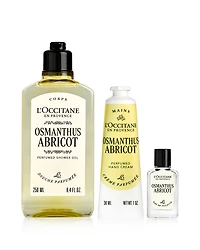 Osmanthus Abricot Trio
