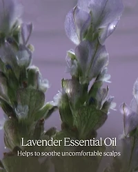 Gentle & Balance Conditioner Refill