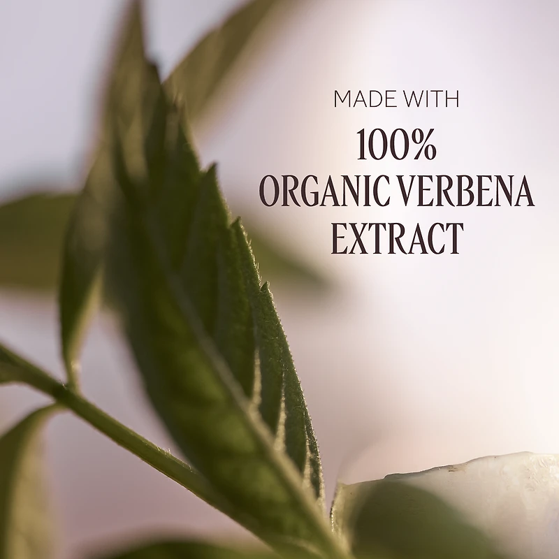 Verbena Body Lotion