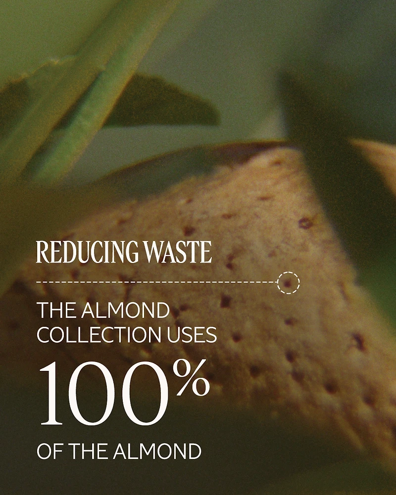 Almond Shower Oil