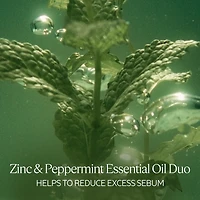 Purifying Freshness Shampoo