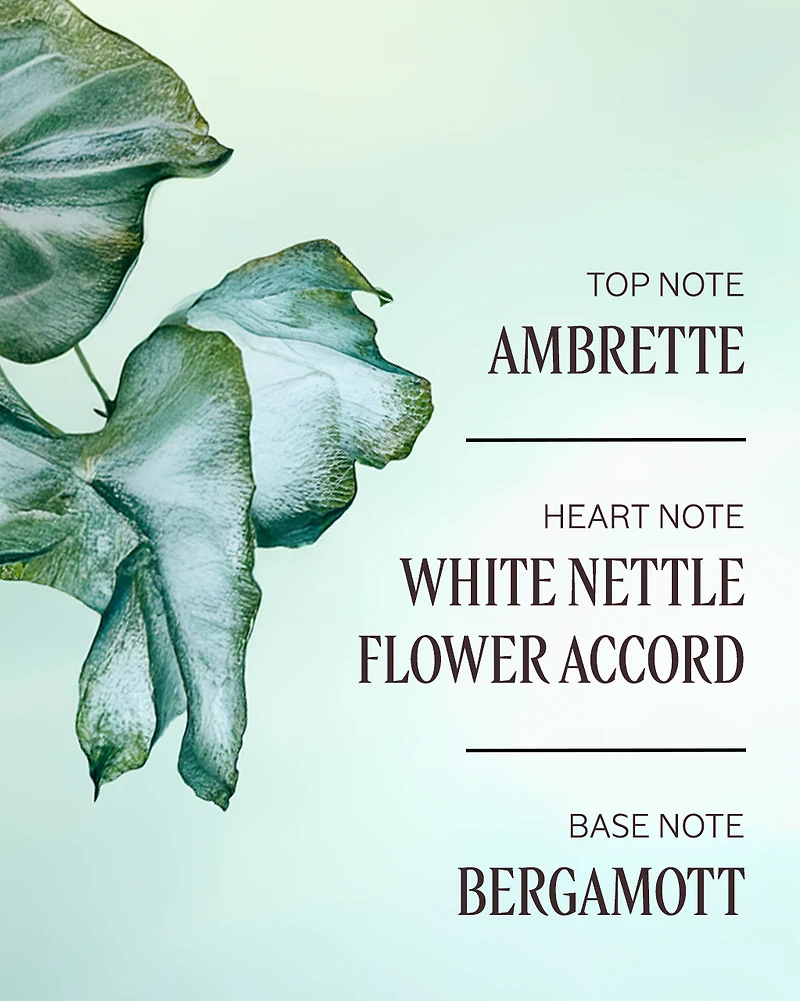 Ortie Blanche Perfumed Hand Cream