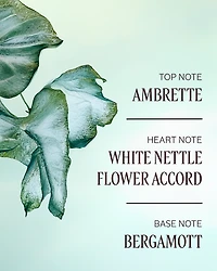 Ortie Blanche Perfumed Hand Cream