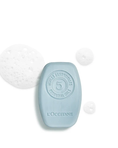 Purifying Freshness Solid Shampoo