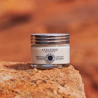 Shea Ultra Rich Face Cream