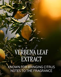 Verveine Agrumes (Citrus Verbena) Stick Deodorant Refill