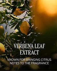 Verveine Agrumes (Citrus Verbena) Perfumed Shower Gel Refill