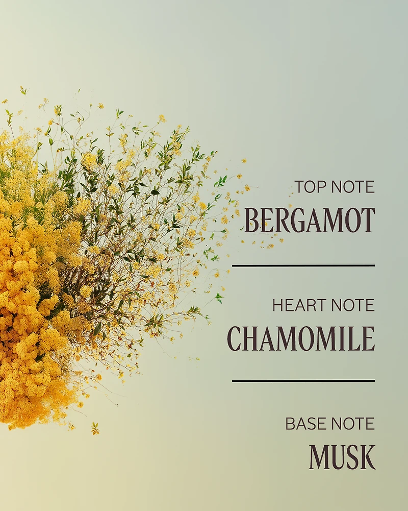 Barbotine Perfumed Body Lotion