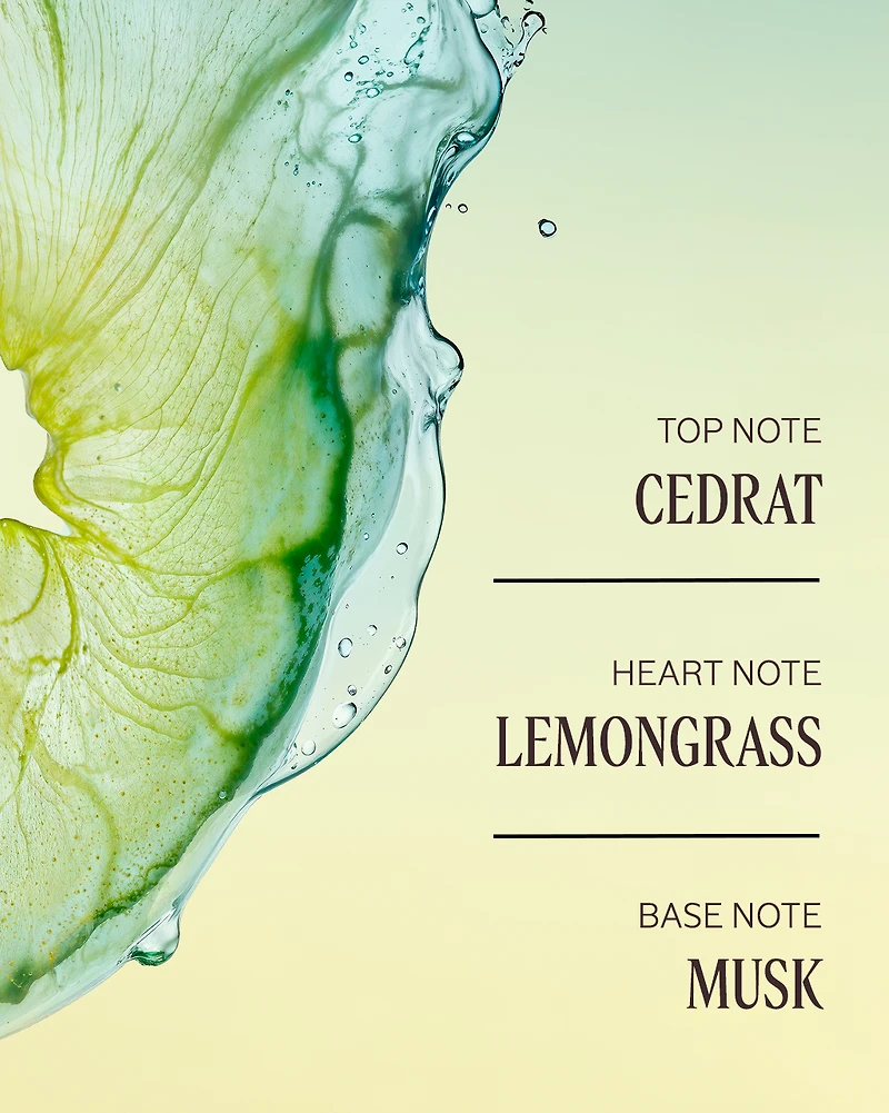 Cédrat Perfumed Shower Gel
