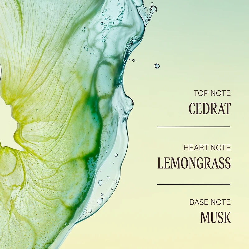 Cédrat Stick Deodorant