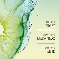 Cédrat Stick Deodorant