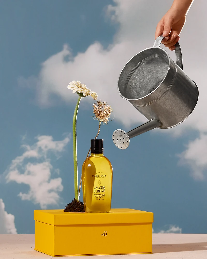Best of L'Occitane
