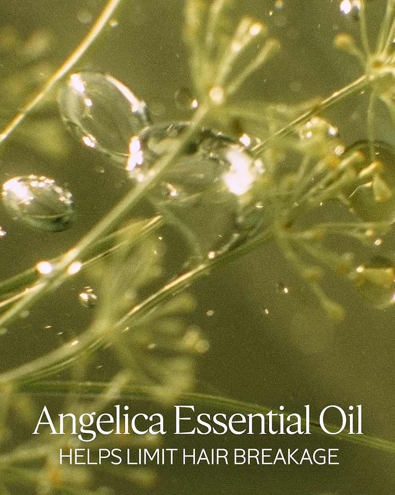 Intensive Repair Sublimating Oil