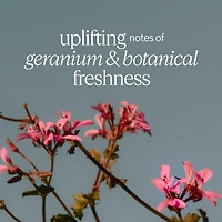 Verbena Geranium Eau de Toilette