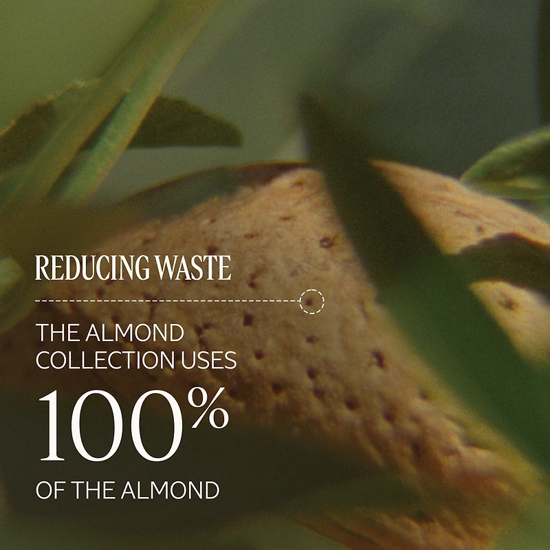 Almond Shower Oil