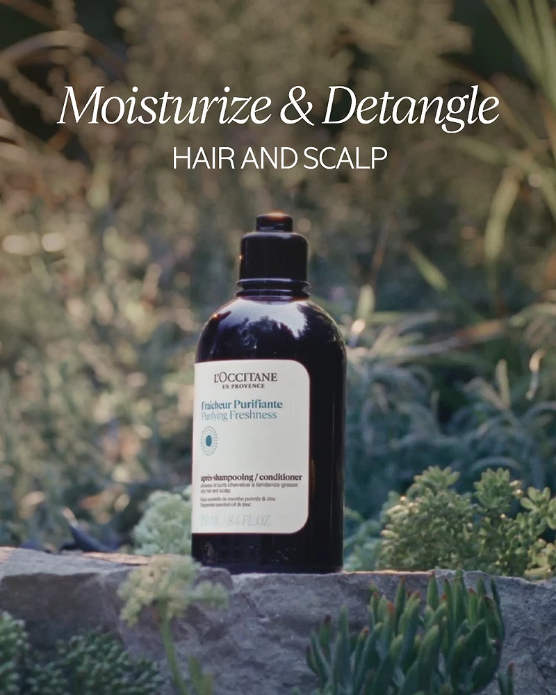 Purifying Freshness Conditioner